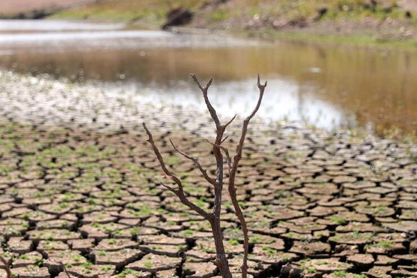 Dia da Terra: “Somos chamados a tornar-nos artífices e construtores da casa comum” – Francisco