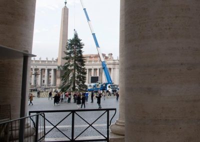 Vaticano inaugura presépio e árvore, na Praça de São Pedro