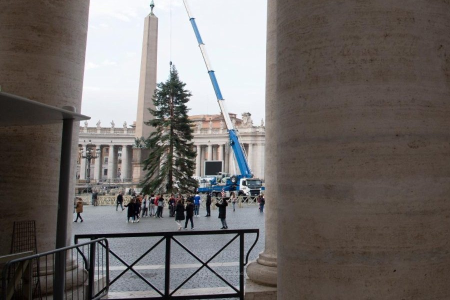 Vaticano inaugura presépio e árvore, na Praça de São Pedro
