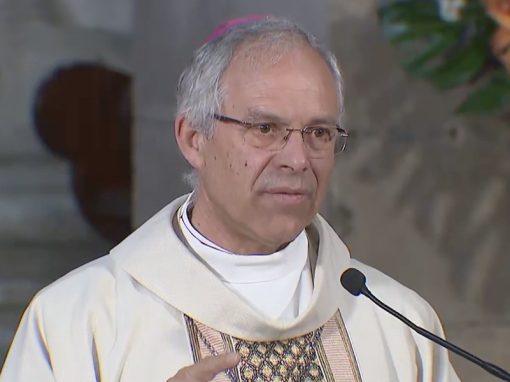 “Como as santas mulheres, pés ao caminho! Como os apóstolos, toca a correr! O mundo precisa da alegria em cada lugar de escuridão, de uma palavra nova, positiva, animadora e cheia do espírito que conforta”- D. Armando Esteves Domingues