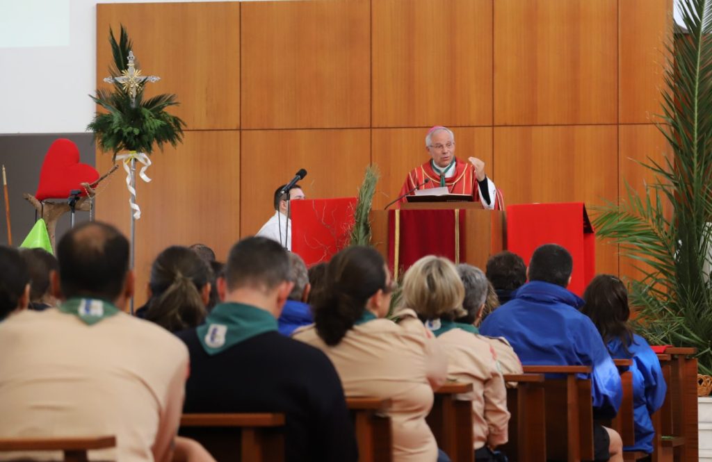 Guerra na terra de Jesus é “traição de pessoas de fé”